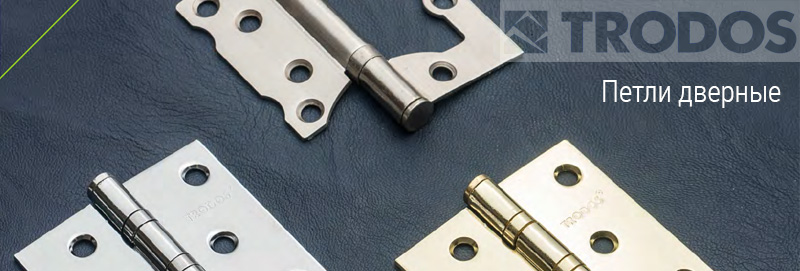 Петли дверные