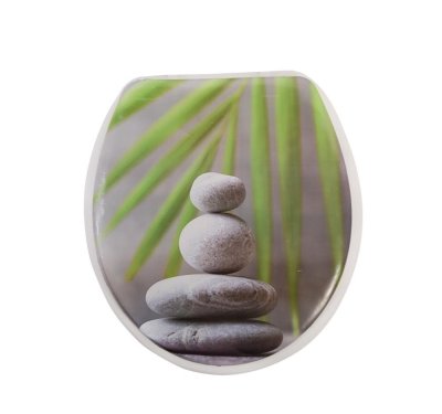 На картинке «Сиденье для унитаза SK-06215 спа»