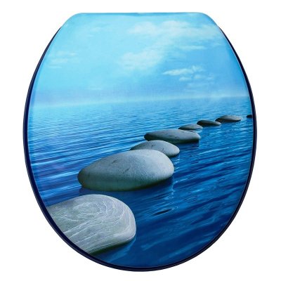 На картинке «Сиденье для унитаза Delphinium "Гавань", синий»