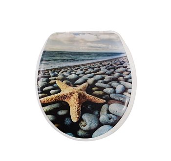 Сиденье для унитаза SK-06017 морская звезда