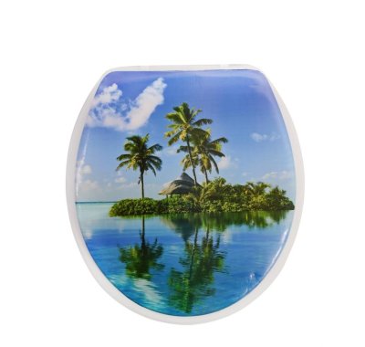 На картинке «Сиденье для унитаза SK-06015 остров»
