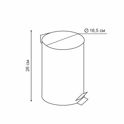 На картинке «Ведро для мусора Delphinium "0030A" 3л, черный»