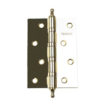 Петля Trodos100х70х2,5мм 4BB конус золото (PB)